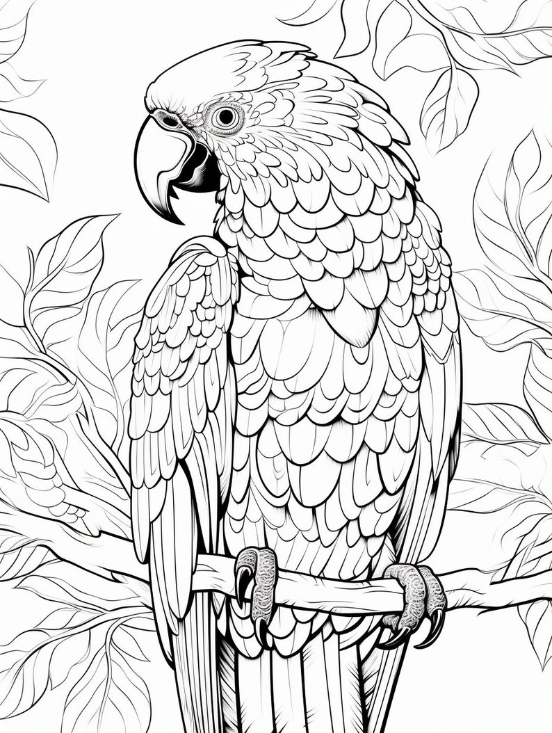 Exotic Birds Coloring Pages, Adults Printable Coloring Page, Parrots