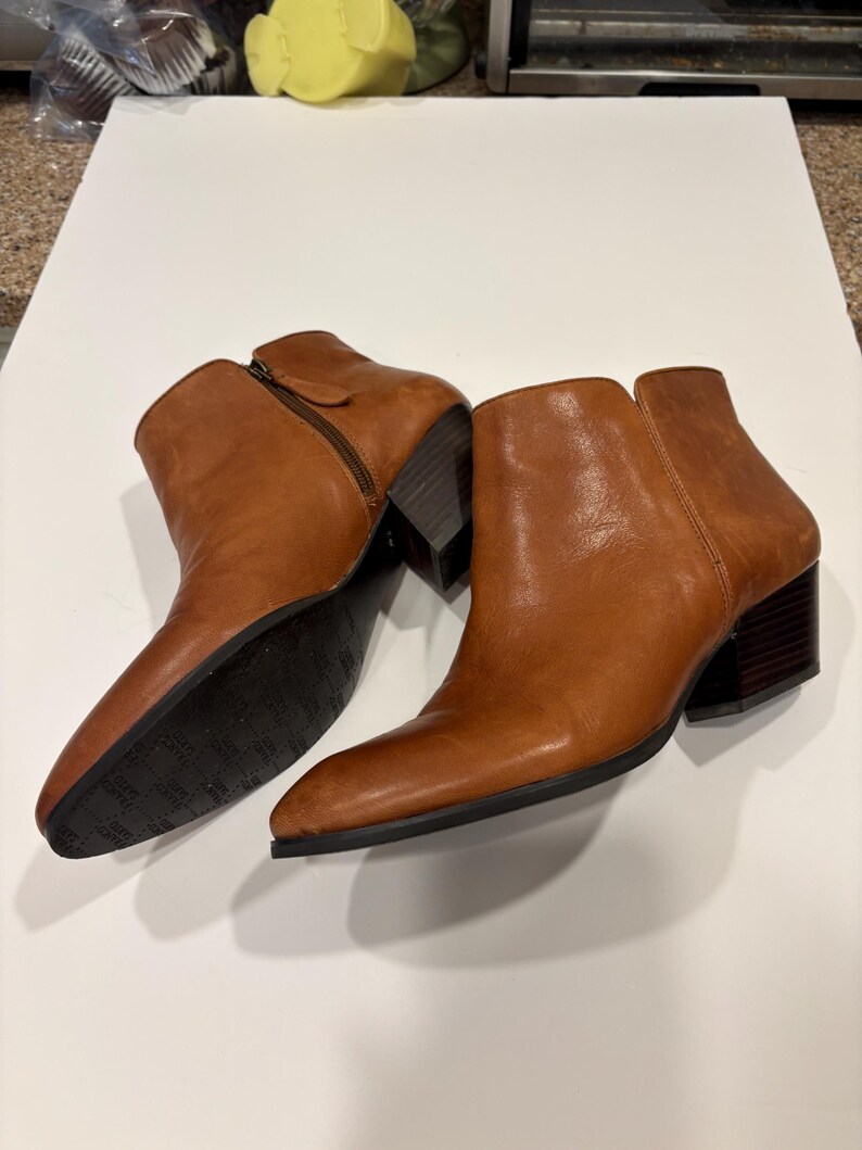 May include: A pair of brown leather ankle boots with a side zipper and a block heel. The boots have a pointed toe and a dark brown sole. The leather has a slight sheen.