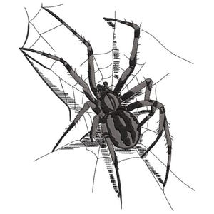 Peut inclure: Illustration détaillée d'une araignée et de sa toile. L'araignée est gris foncé avec un abdomen à motifs et de longues pattes segmentées. La toile est dessinée avec précision, avec des lignes fines créant un effet réaliste. Le fond est blanc.