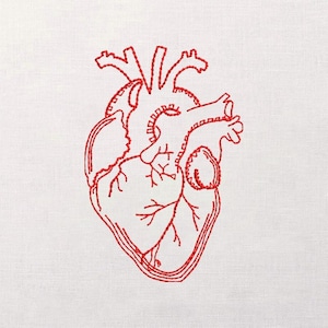May include: Red embroidered anatomical heart design on a white background. The heart's outline and internal structures are detailed with red thread, showcasing the ventricles, arteries, and veins. The embroidery is centered, creating a clean and minimalist aesthetic.
