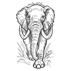 Pode incluir: Ilustração a preto e branco de um elefante a andar para a frente. O elefante tem grandes presas e orelhas, com trabalho de linha detalhado. A imagem está sobre um fundo branco, com relva na parte inferior.