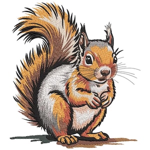 2 Patch Di Scoiattolo / Ricamo Patch/ferro Su Patch/ferro Su - Foto 5