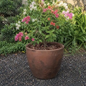 Rust Rustic Round Planter | Large Decorative Flower Pot for Indoor & Outdoor Spaces | 52 x 42 cm