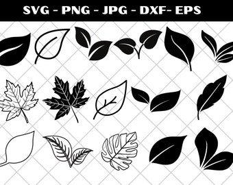 Leaf SVG Bundle, Leaves Svg Bundle, Leaf Clipart, Leaf Svg cut files for Cricut
