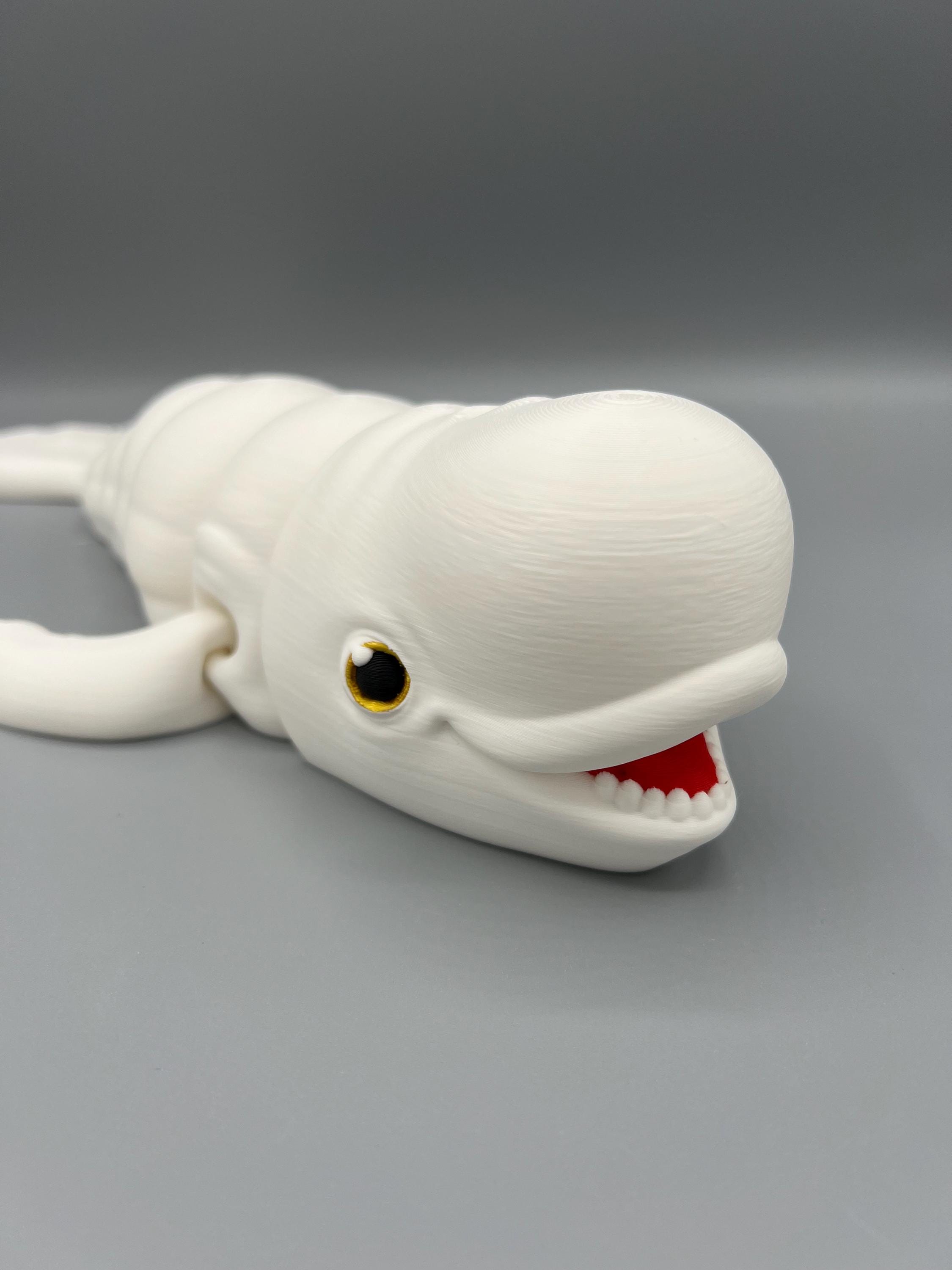 3D Printed Articulating Beluga Whale: Customizable Fidget Toy - Etsy