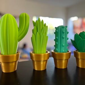 3D Printed Cactus Decor: Low Maintenance Plant Gifts