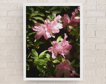 Little Beauties - Large Wall Art Print, Instant Digital Download Wall Art, Trendy Decor, Photography, Printable Wall Art