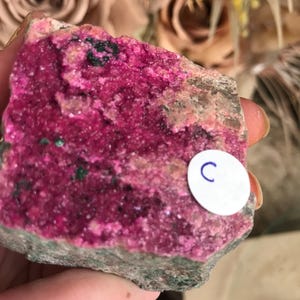 May include: A vibrant, raw mineral specimen featuring a striking combination of colors. The main body displays a rich, hot pink hue, contrasted by areas of green and a neutral, earthy tone. A small white sticker with the letter "C" is visible.