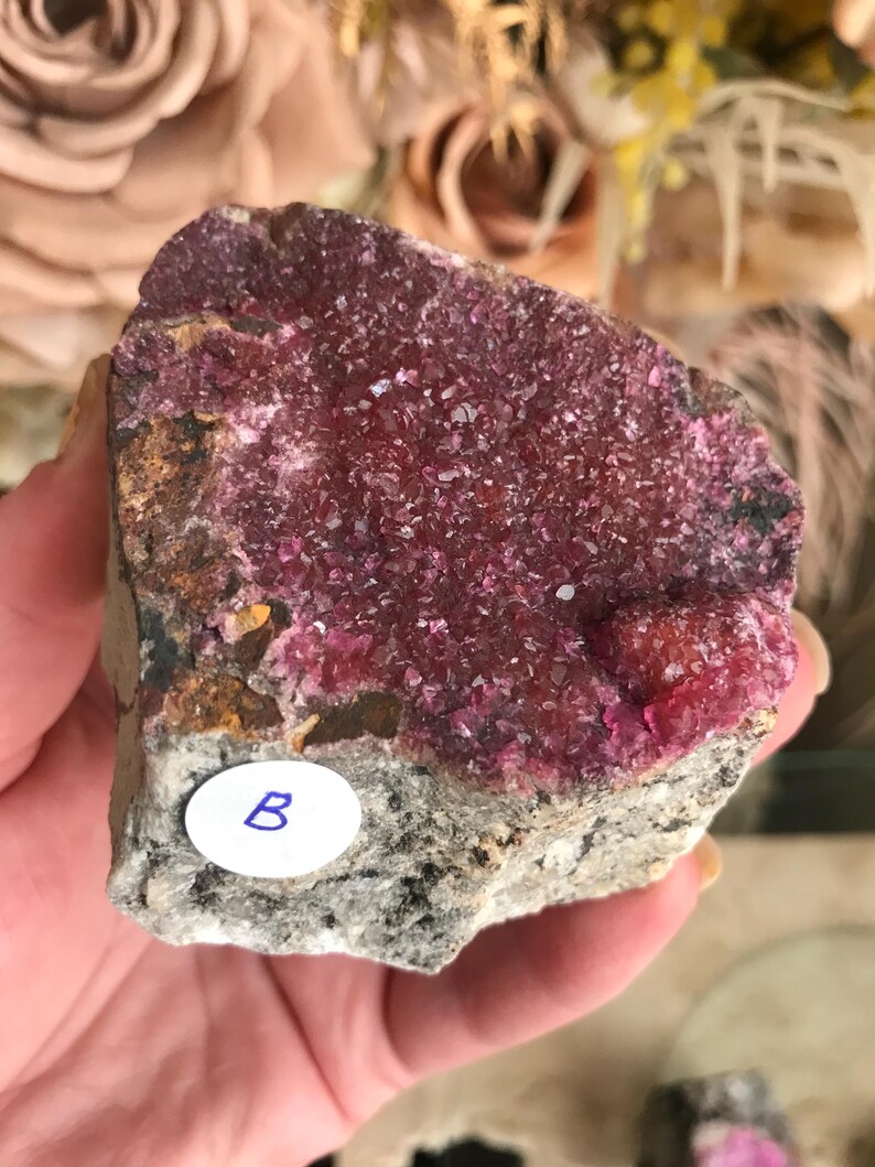 May include: A raw mineral specimen featuring a vibrant, crystalline, magenta-colored surface atop a gray and brown rock base. A small, white sticker with the letter "B" is affixed to the rock.