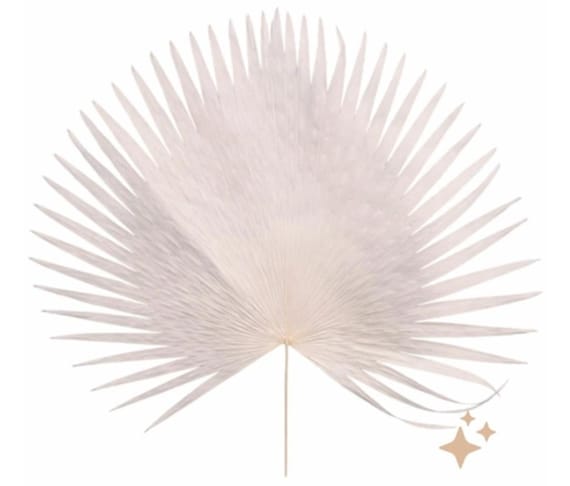 Großes konserviertes weißes Anahaw-Palmenblatt, Boho-Dekor, 90 cm getrocknete Pflanze