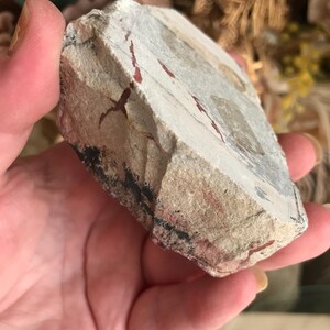 May include: A piece of sedimentary rock with a light gray base color, featuring reddish-brown and black streaks. The rock has a rough, textured surface and appears to be a natural stone specimen. The rock is held in a hand.