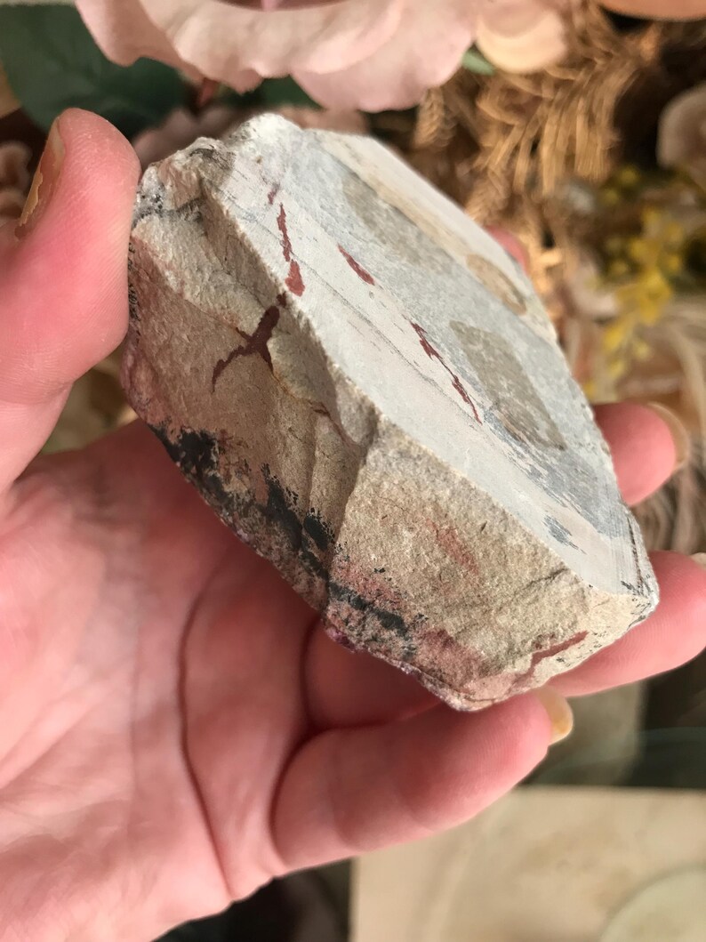 May include: A piece of sedimentary rock with a light gray base color, featuring reddish-brown and black streaks. The rock has a rough, textured surface and appears to be a natural stone specimen. The rock is held in a hand.