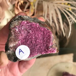 May include: A piece of raw mineral with a vibrant magenta crystal formation. The rough, gray exterior contrasts with the textured, crystalline interior. A white sticker with the letter "A" is affixed to the mineral.