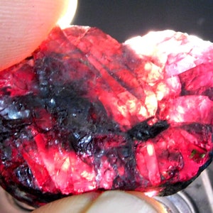 Può includere: Una gemma di rubino naturale grezza. Il rubino mostra un colore rosso intenso con aree nere e una struttura cristallina. La gemma è tenuta contro la luce, mostrando le sue qualità traslucide e le imperfezioni naturali.