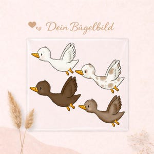 Könnte beinhalten: Quadratisches Bild mit vier Cartoon-Enten im Flug. Die Enten sind weiß, braun und gesprenkelt, mit gelben Schnäbeln und Füßen. Der Text "Dein Bügelbild" ist in Schreibschrift geschrieben.