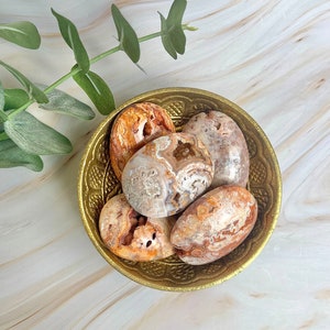 Può includere: Una collezione di cinque pietre di agata in una ciotola dorata. Le pietre sono un mix di colori bianco, marrone e arancio con motivi intricati.