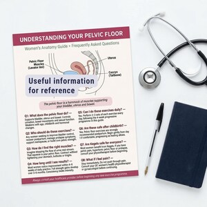 May include: A guide titled "Understanding Your Pelvic Floor" with anatomical illustrations and frequently asked questions. A stethoscope, pen, and a dark blue notebook are also present on a white surface.