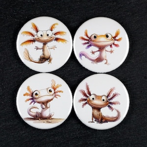 Könnte beinhalten: Vier runde Ansteckbuttons mit Illustrationen von Axolotln. Jeder Button zeigt eine andere Axolotl-Figur in Braun-, Orange- und Rosatönen auf weißem Hintergrund, wobei verschiedene Posen und Gesichtsausdrücke dargestellt werden.