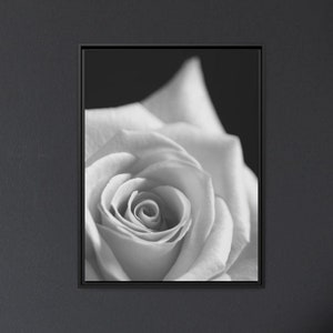 Monochrome Rose Matte Canvas | Framed and Unframed | Floral Wall Art | Botanical Print | Modern Nature Photography | Home Decor