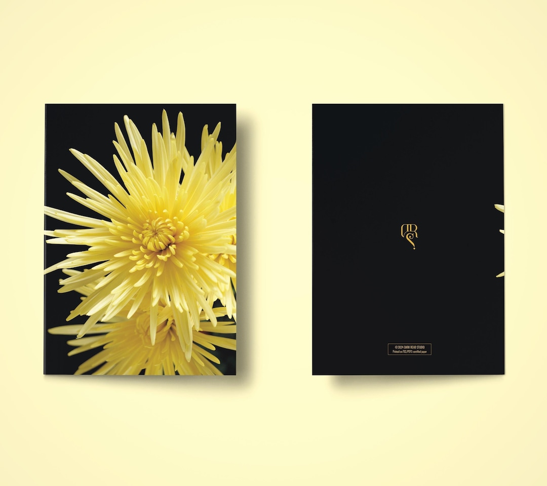 Chrysanthemum Greeting Cards | Elegant Floral Note Cards, 10 Pack - Etsy