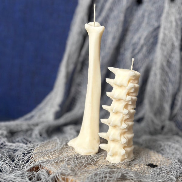 Lot de 2 bougies en os humains, décoration d'Halloween, cadeau médical pour médecin, décoration de chambre de sorcière, accessoires photo, maison alternative