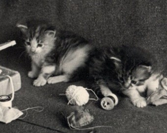 Two Little Kittens Playing With A Sewing Box, Spools of Thread and A Pair of Scissors, Original Black and White Vintage Photo