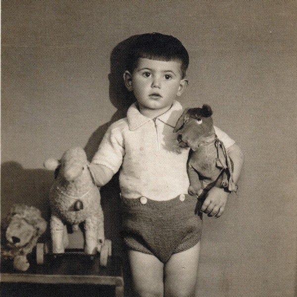 Little boy posing with lamb, lion and dog toys on wheels. A beautiful and clean studio photo, is also an example of children's fashion