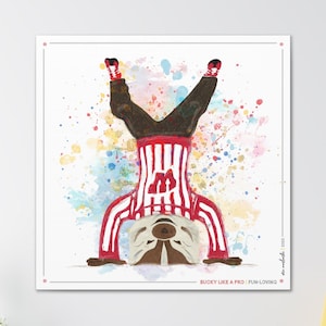 Bucky like a Pro | Fun-Loving | Headstand | Dance | Bucky Badger Gift | Wisconsin Art | Canvas Print | No Frame Needed | Graduation Gift