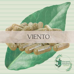 Viento - 100 Capsules - Dr Sebi Inspired - Alkaline/Holistic