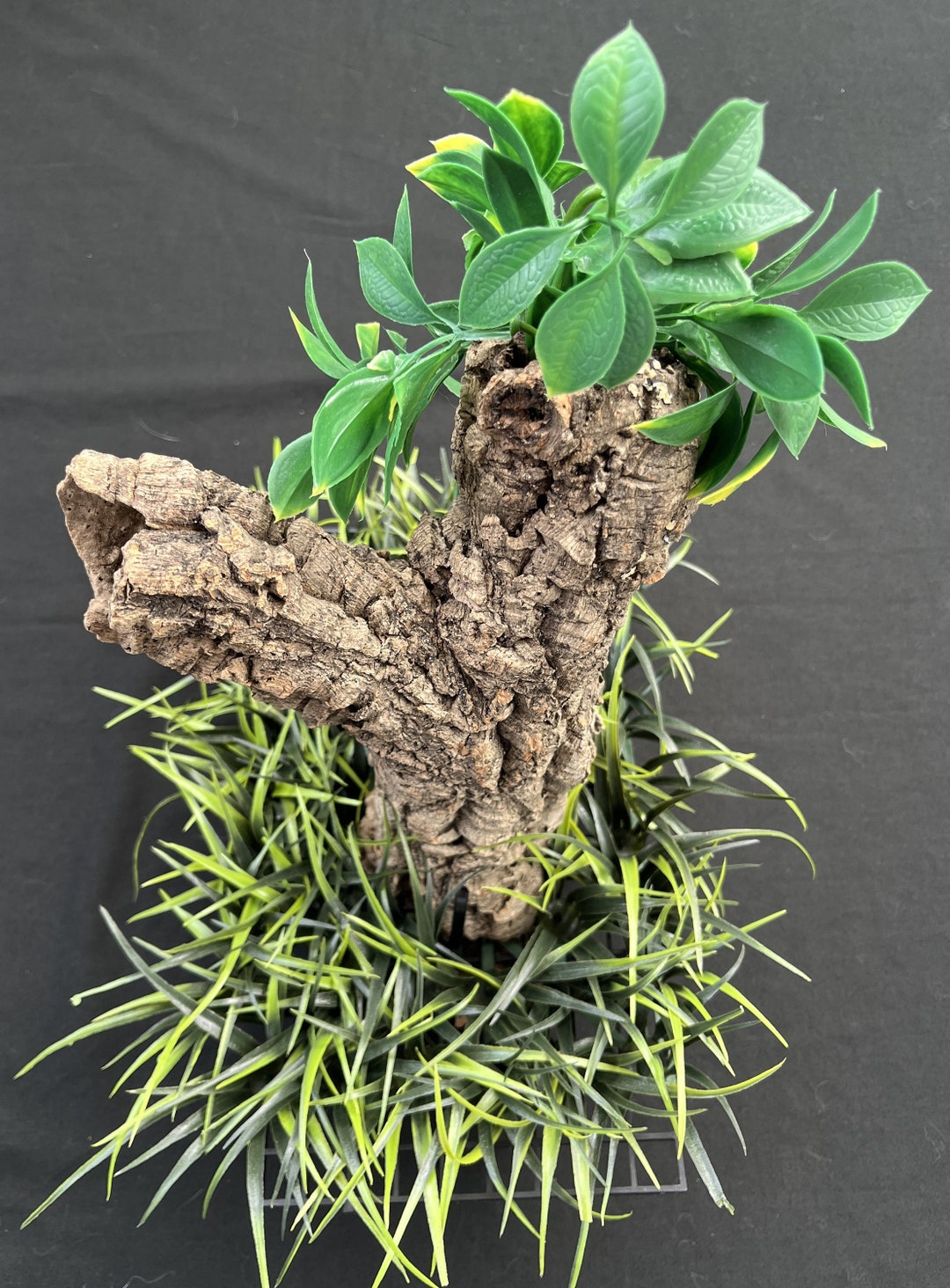 Cork Bark Crab Tree Etsy