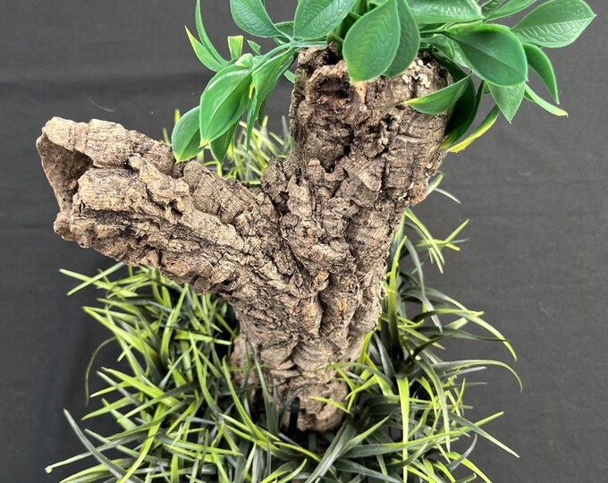 Cork Bark Crab Tree Etsy