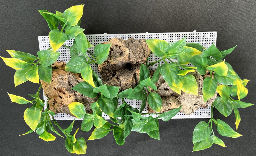 Hermit Crab Cork Bark Climbing Wall Etsy