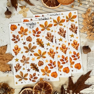 Könnte beinhalten: Drei weiße Aufkleberbögen mit einer Vielzahl von herbstlichen Blättern im Aquarellstil in Orange-, Gelb- und Brauntönen, durchsetzt mit kleinen goldenen Sternen. Jeder Bogen ist mit dem Markennamen BujoJej und der Nummer 897 versehen.