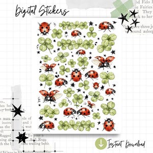 Cartela de adesivos de joaninha e trevo da primavera – Desenho botânico à mão | Adesivos para diário digital | PNG + Studio | A5