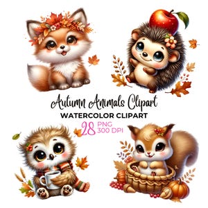 Clipart de animais de outono em aquarela, animais fofos de outono PNG, clipart de animais da selva bebê, chá de bebê, esquilo, coruja, guaxinim, uso comercial