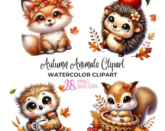 Puede incluir: Un conjunto de cuatro ilustraciones de acuarela de animales de otoño. Un zorro con una corona de hojas, un erizo con una manzana en la cabeza, un búho sosteniendo una taza de café y una ardilla sentada en una cesta con bellotas y una calabaza.