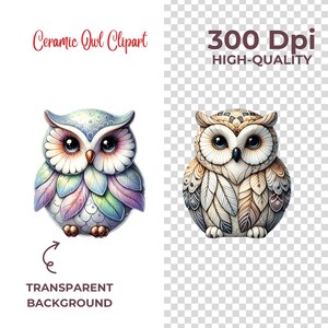 May include: Two ceramic owl figurines with detailed feather patterns. The owl on the left has a blue, pink, and green color scheme. The owl on the right has a brown and white color scheme. Both owls have large, black eyes.
