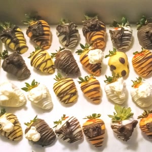Chocolate Covered Strawberries