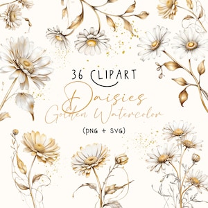 Gold Watercolor Daisies Clipart/Line Daisy Clipart/SVG Daisy/PNG Watercolor Flower/Floral Clipart/Watercolor Daisy Clipart