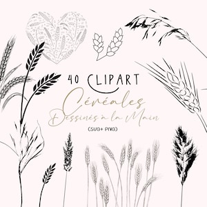 Cereals Clipart/Line Cereals Clipart/SVG Cereals/Wheat Clipart/Cereals Line Art/Plant Clipart/Hand Drawn Clipart/Line Cereals