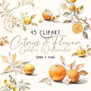 Citrus and Flowers Clipart/Watercolor Citrus Clipart/Citrus and Flowers SVG/Citrus and Floral Clipart/Watercolor Lemon Clipart/Orange Tree Clipart