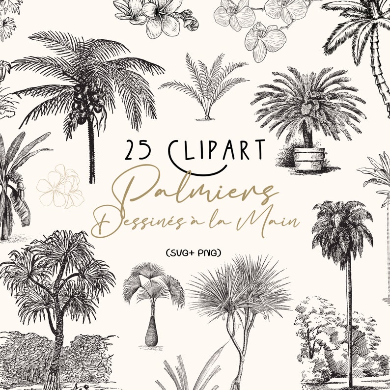 May include: A set of 25 hand-drawn palm tree illustrations in black and white. The illustrations are perfect for creating tropical-themed designs, invitations, or greeting cards. The text "25 CLIPART Palmiers Dessin&eacute;s &agrave; la Main (SVG + PNG)" is included in the image.