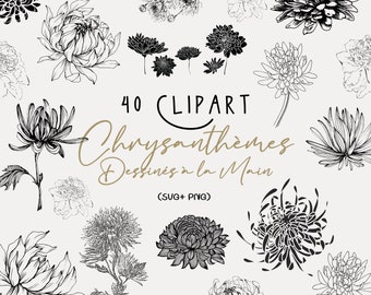 Clipart Chrysanthème/Clipart Chrysanthème ligne/fleur automne/Fleur Line Art/Clipart floral/Clipart fleurs dessiné à la main/Fleur trait