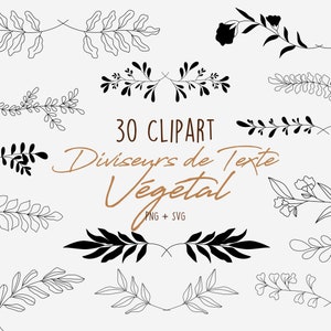 May include: A set of 30 black and white floral clipart dividers for text. The text reads "30 CLIPART Diviseurs de Texte Vegetal PNG + SVG".