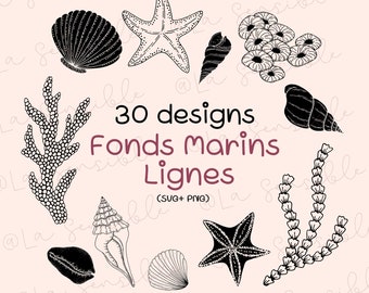 Lines Clipart/Ocean Clipart/Marine Clipart/Seabed Clipart/Marine SVG/Starfish Clipart/Shell Clipart/Sea Clipart/Coral Clipart