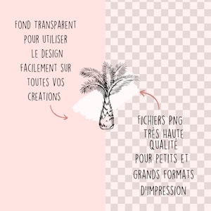 May include: A black and white illustration of a palm tree on a transparent background. The text "FOND TRANSPARENT POUR UTILISER LE DESIGN FACILEMENT SUR TOUTES VOS CREATIONS" is on the left side of the image. The text "FICHIERS PNG TR&Egrave;S HAUTE QUALIT&Eacute; POUR PETITS ET GRANDS FORMATS D'IMPRESSION" is on the right side of the image.