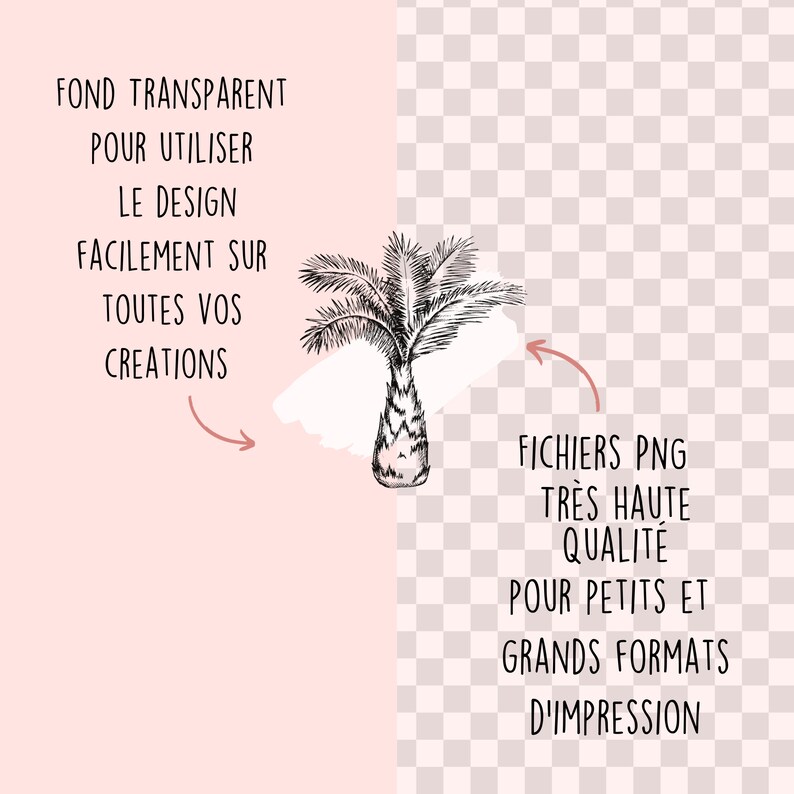 May include: A black and white illustration of a palm tree on a transparent background. The text "FOND TRANSPARENT POUR UTILISER LE DESIGN FACILEMENT SUR TOUTES VOS CREATIONS" is on the left side of the image. The text "FICHIERS PNG TR&Egrave;S HAUTE QUALIT&Eacute; POUR PETITS ET GRANDS FORMATS D'IMPRESSION" is on the right side of the image.