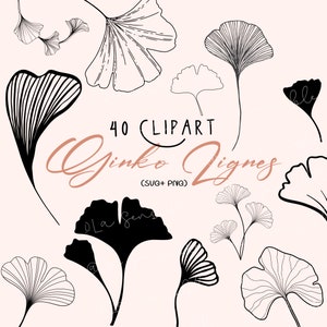 Ginkgo clipart/ Ginko clipart/ Leaves clipart/ Leaves lines clipart/Floral art clipart/Ginko outline clipart/Abstract leaf clipart