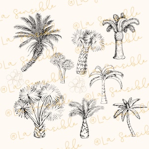 May include: A black and white illustration of various palm trees. The image is on a white background with the text "@La Sensible" repeated throughout.