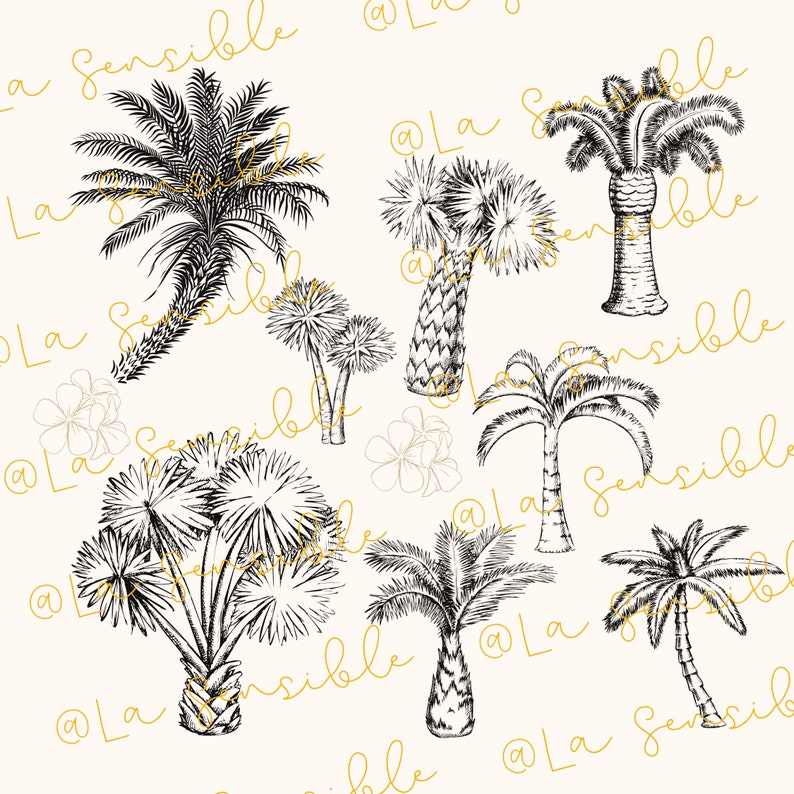 May include: A black and white illustration of various palm trees. The image is on a white background with the text "@La Sensible" repeated throughout.